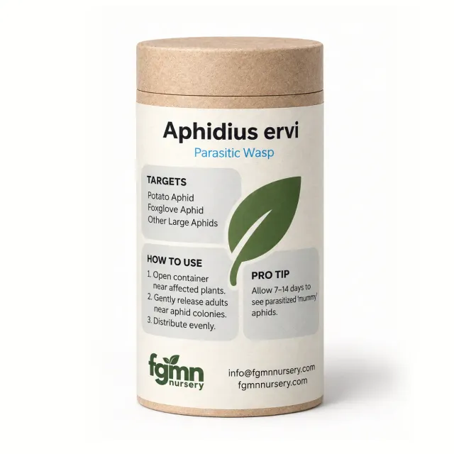 FGMN Nursery Aphidius ervi vespe contro afidi grandi