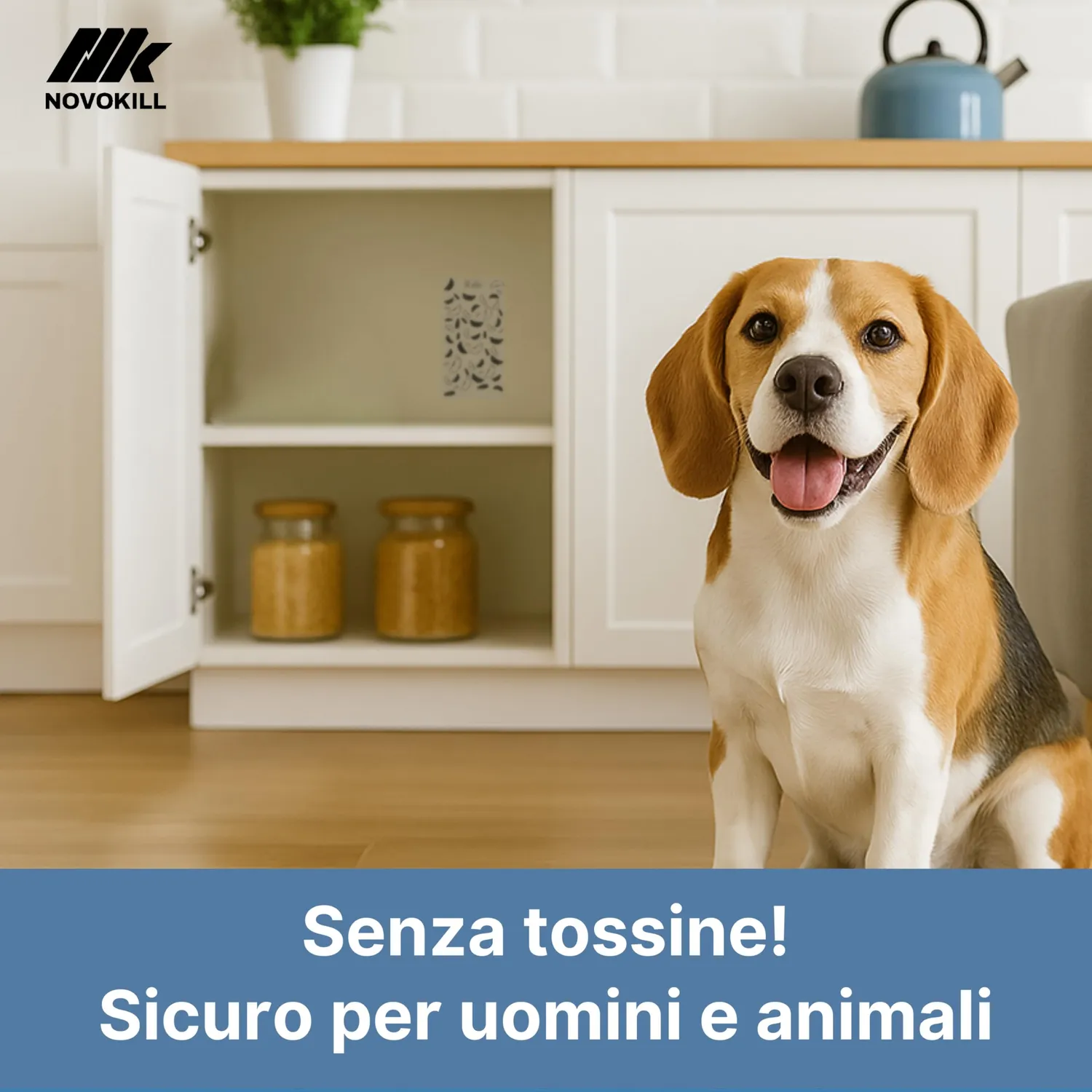 Novokill Trappola Tarme Alimentari Feromoni 25 pezzi 3 mesi
