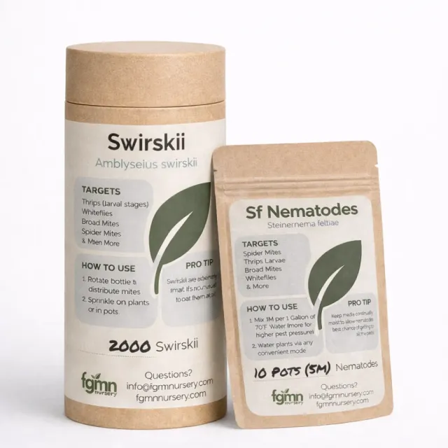FGMN Nursery Thrips Rapid Response insetti per tripidi 10 piante