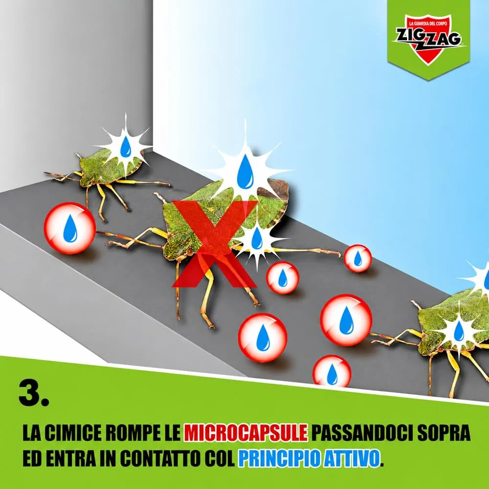 ZigZag Cimici spray insetticida microincapsulato 2x500 ml