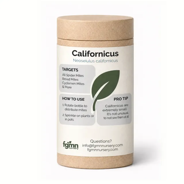 FGMN Neoseiulus californicus acari ragnetto rosso