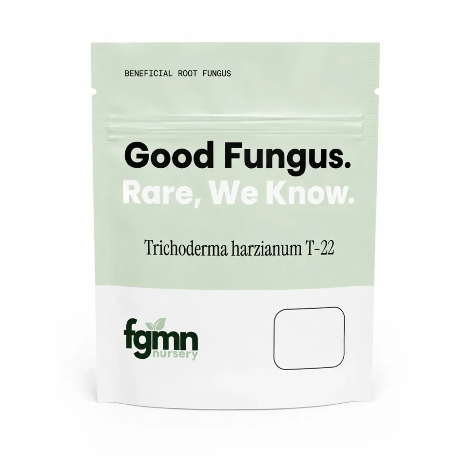 FGMN Trichoderma harzianum T-22 fungo benefico radici