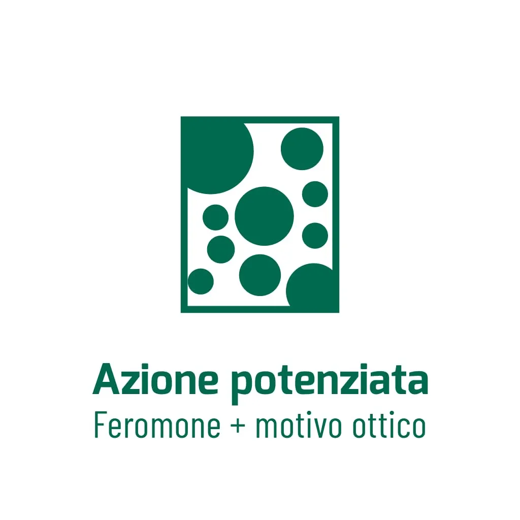 Orphea Antitarme Alimentare trappole 3 pz inodore