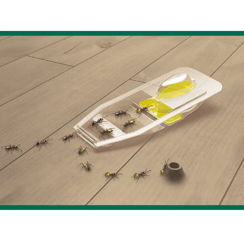 Orphea Esca Formiche gel 3 pezzi efficacia 4 mesi