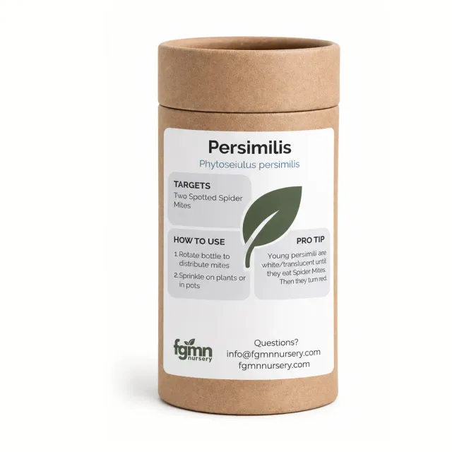 FGMN Phytoseiulus persimilis Anti-Ragnetto Rosso X-Small 500