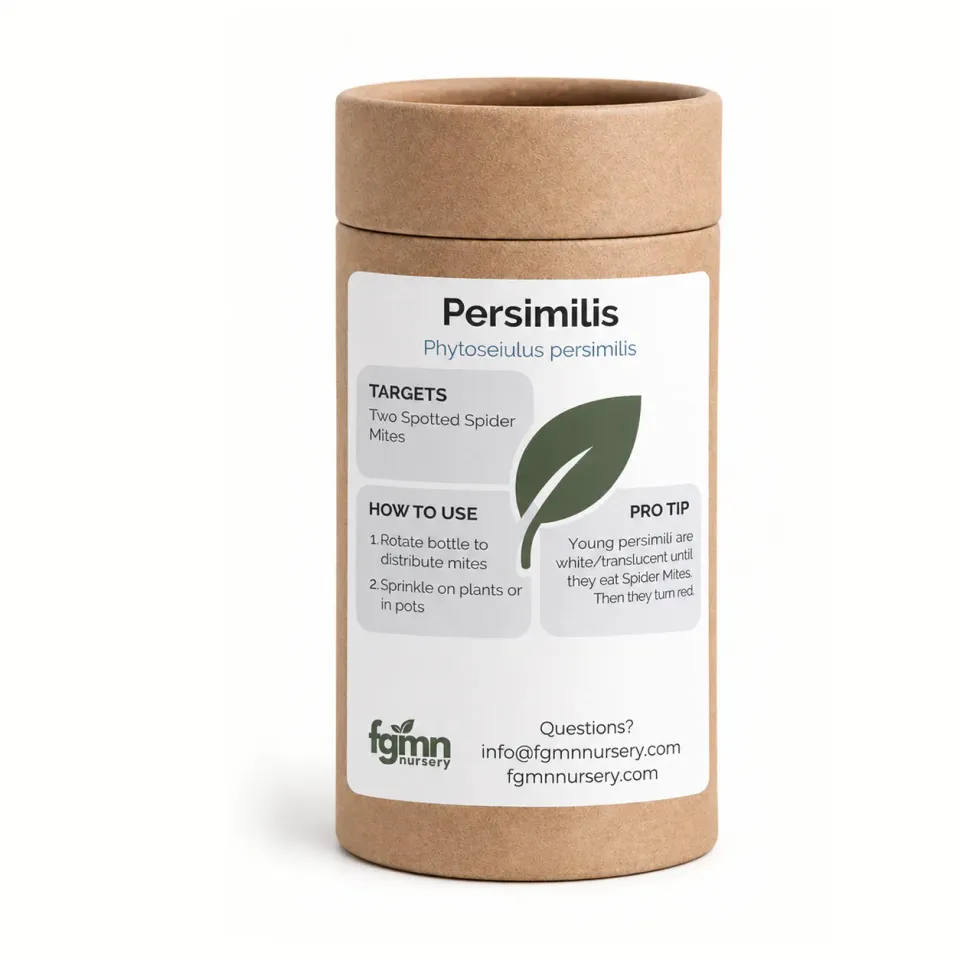 FGMN Phytoseiulus persimilis Anti-Ragnetto Rosso X-Small 500
