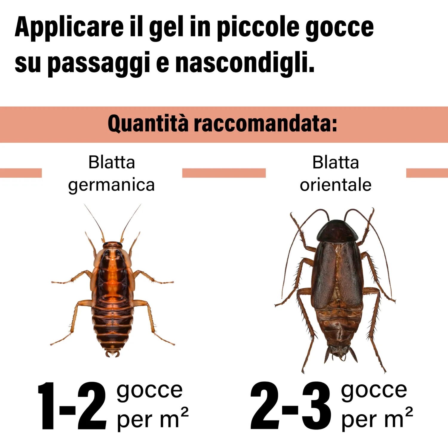 Novokill Gel Anti Scarafaggi gel blatte 2x10 g effetto nido