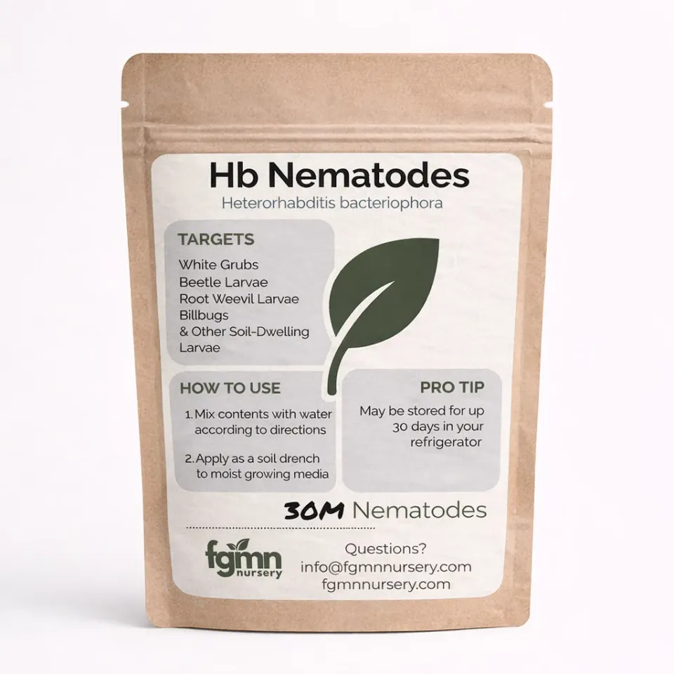 FGMN Nursery Hb Nematodi Utili Heterorhabditis Small 40M