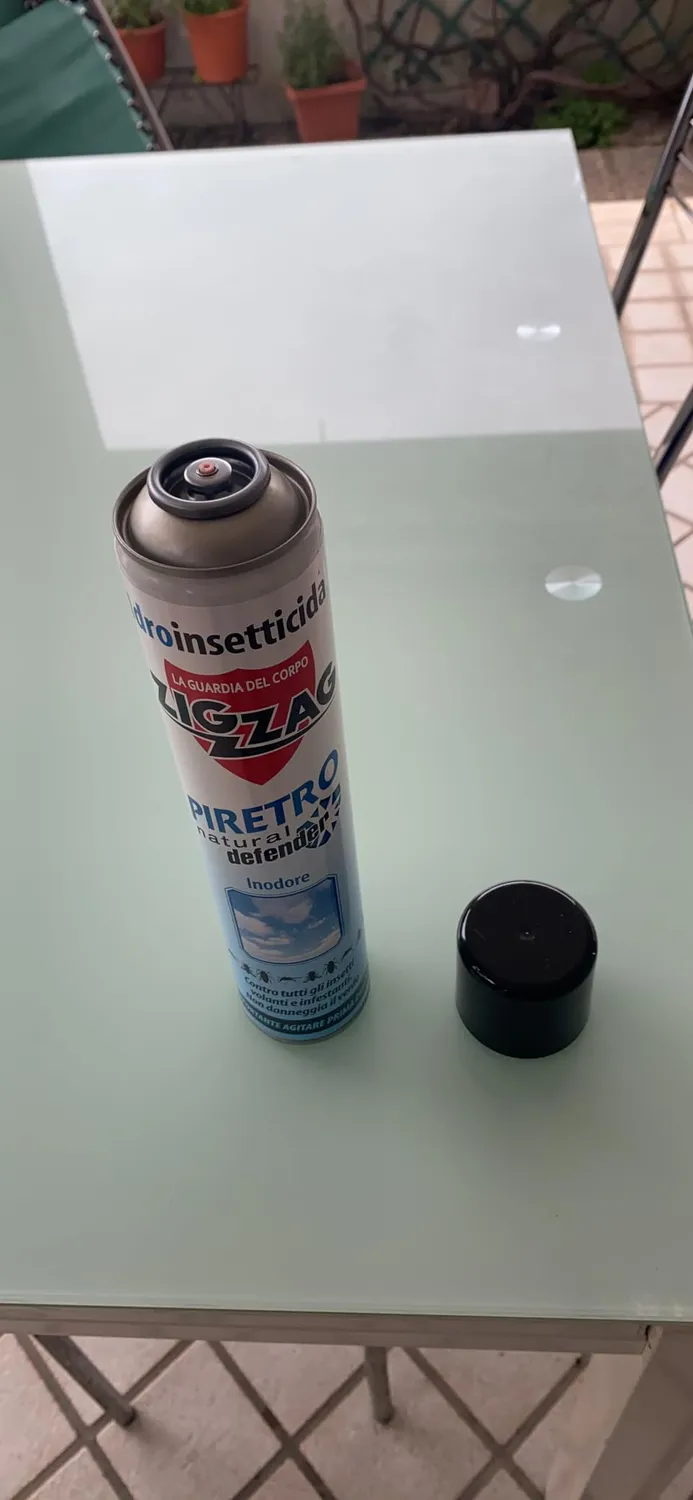 Zig Zag insetticida spray inodore piretro 500 ml