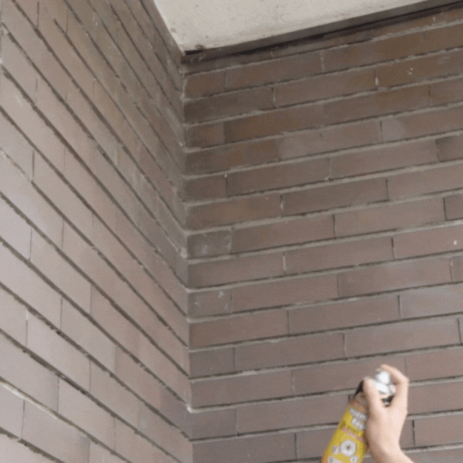 Piccio-NO! Tac Spray Ultra insetticida spray ragni abbattente