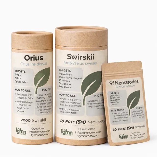 FGMN Nursery Thrips Total Control sistema tripidi Small 25 piante