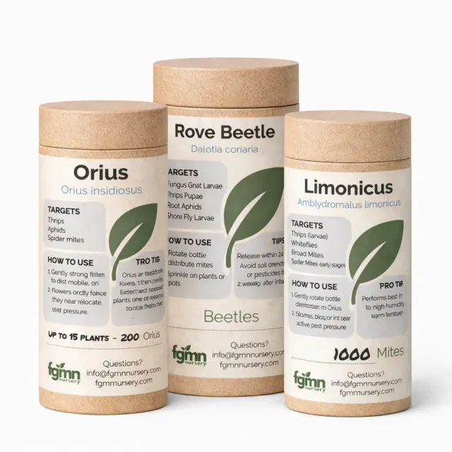 FGMN Nursery Thrips Ultimate Control sistema tripidi 100 piante adulti