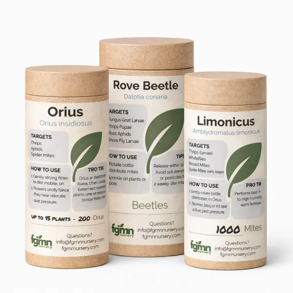 FGMN Nursery Thrips Ultimate Control sistema tripidi 100 piante adulti