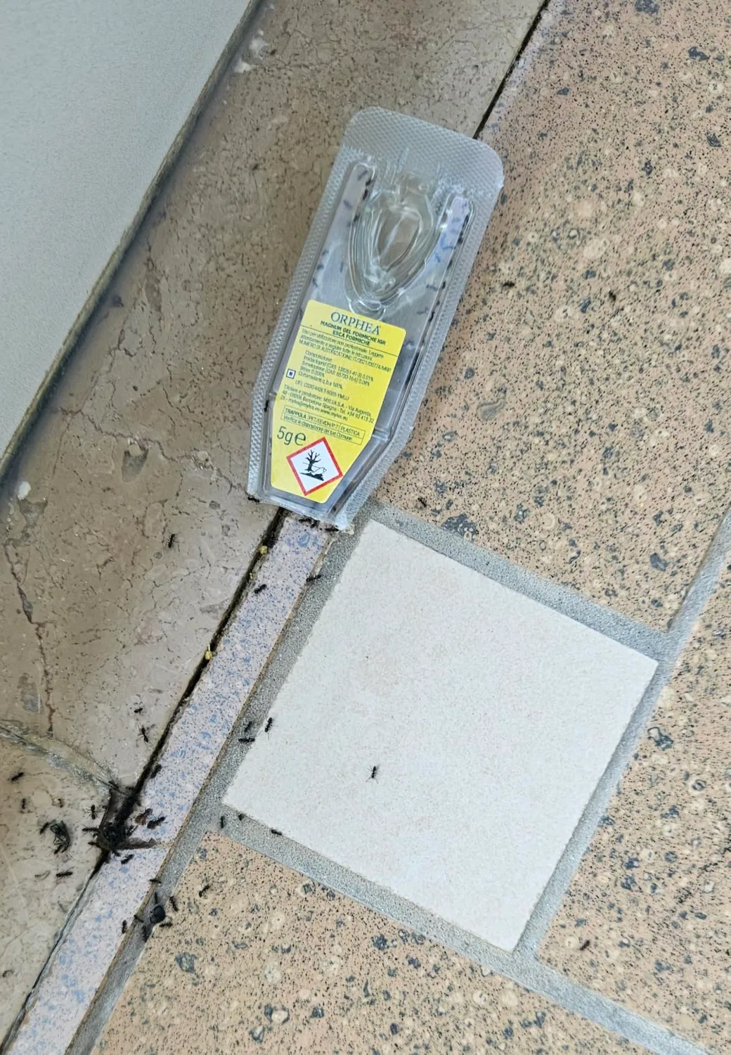 Orphea Esca Formiche gel 3 pezzi efficacia 4 mesi