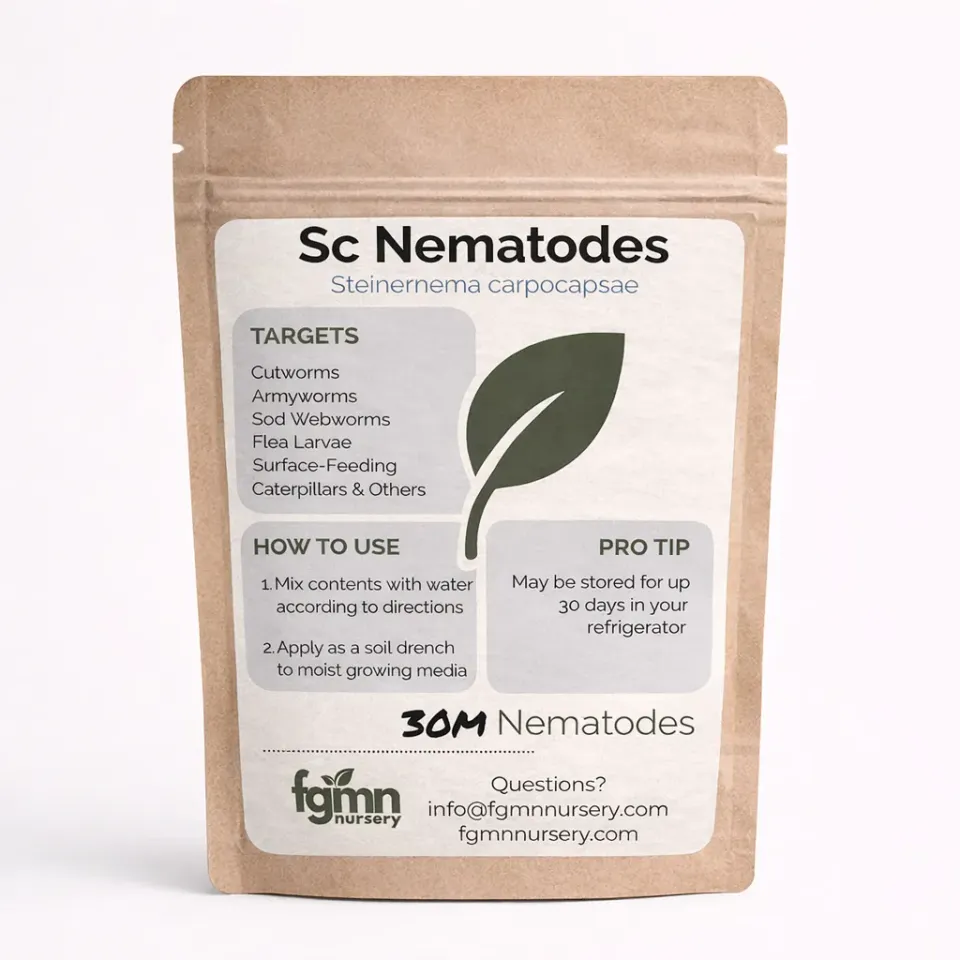 FGMN Nursery Sc Nematodes nematodi Small 2500 sq ft 40M