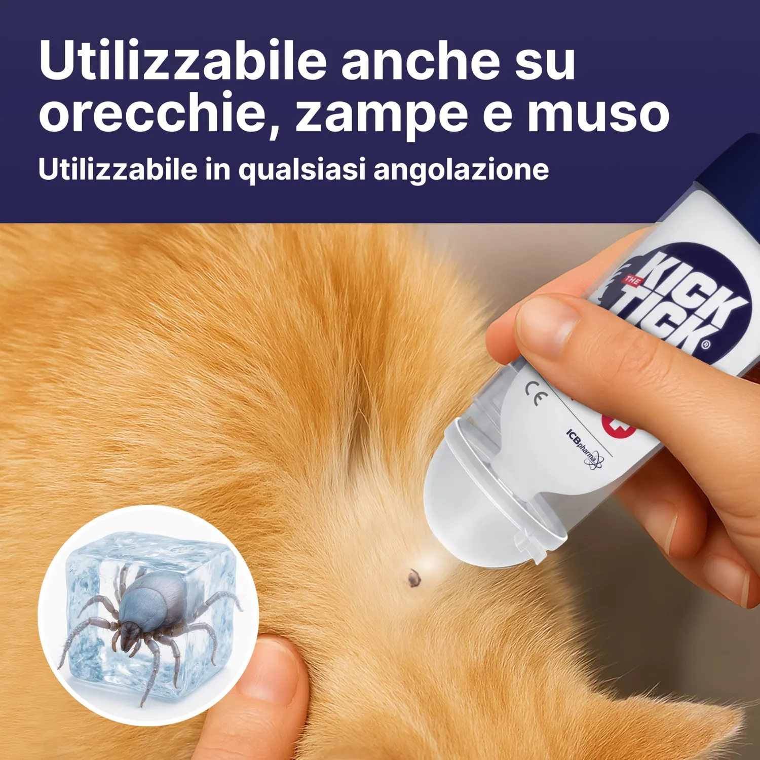 Novokill Kick The Tick Kit Antizecche spray 9 ml + pinza