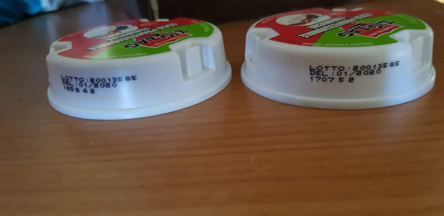 ZigZag Esca Formiche in Gel Trappola 10 g Colonia