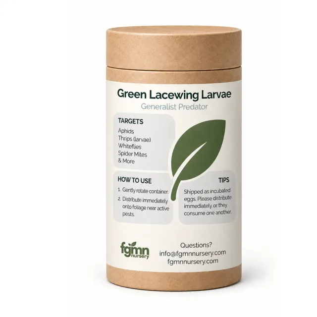 FGMN Crisopa Verde larve anti afidi 250 pezzi fino a 10 piante