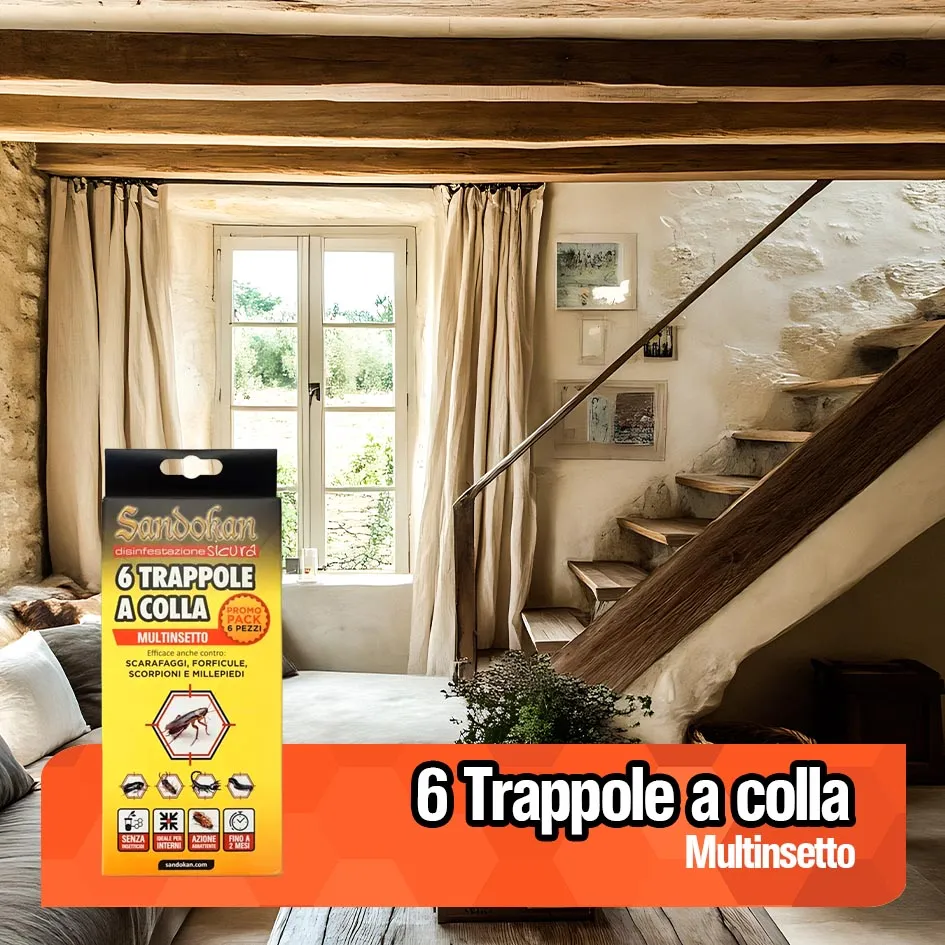 Sandokan trappola blatte a colla 6 pezzi ecologica