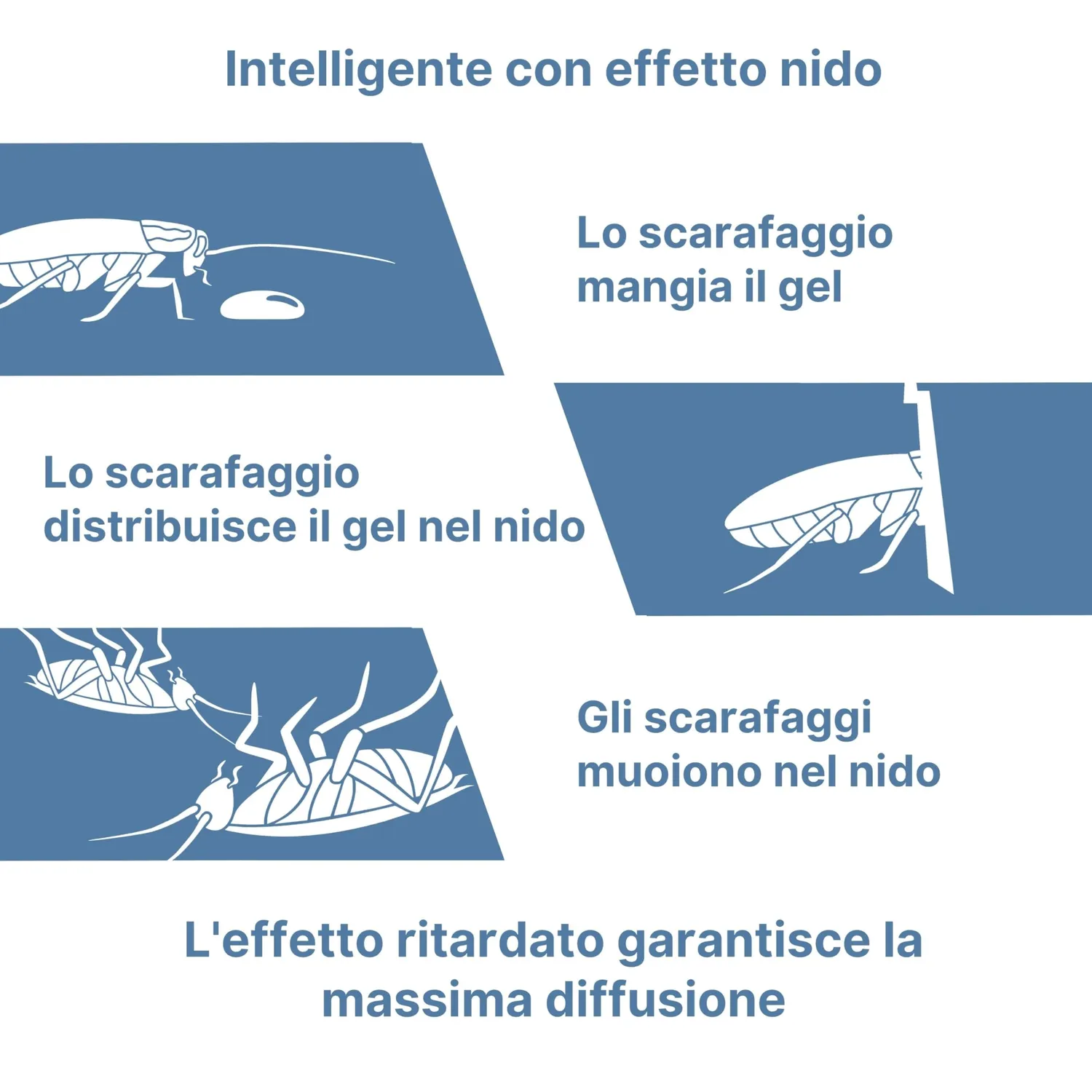Novokill Gel Scarafaggi Siringa 10g Lunga Durata