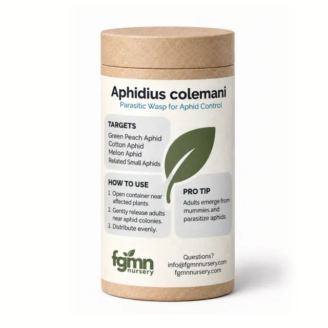 FGMN Nursery Aphidius Colemani Insetti Utili 20 pz