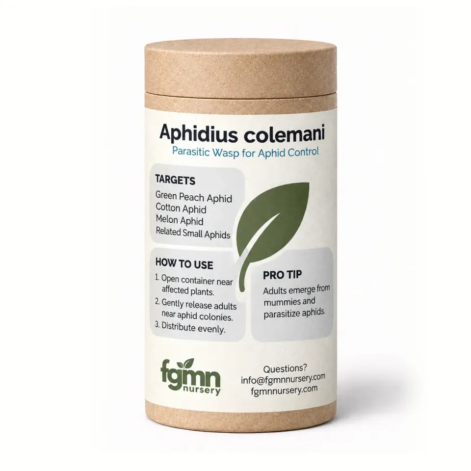 FGMN Nursery Aphidius Colemani Insetti Utili 20 pz