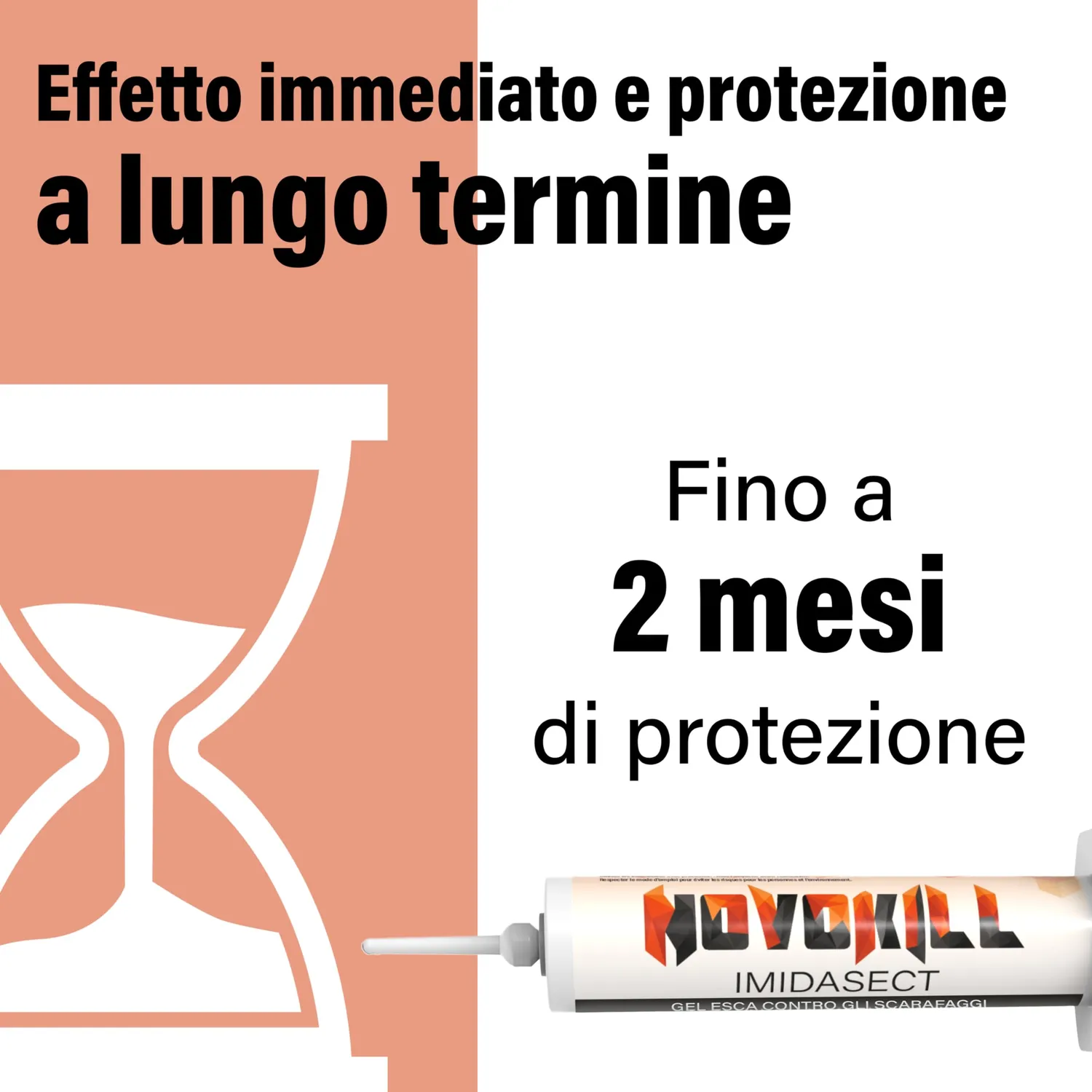 Novokill Gel Anti Scarafaggi gel blatte 2x10 g effetto nido