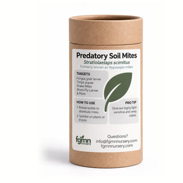 FGMN Nursery Stratiolaelaps scimitus Acari Predatori Moscerini