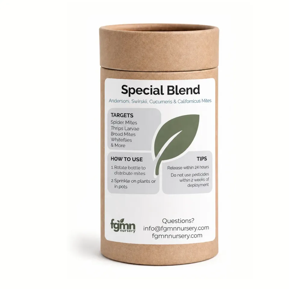 FGMN Nursery Special Blend Mix acari predatori contro ragnetto rosso