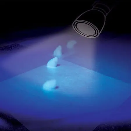 Tathrin Kapter Fluogel esca gel blatte fluorescente